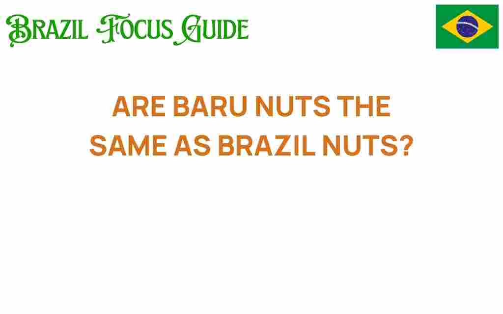 are-baru-nuts-the-same-as-brazil-nuts