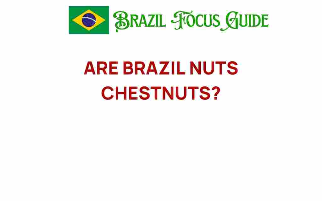 are-brazil-nuts-chestnuts
