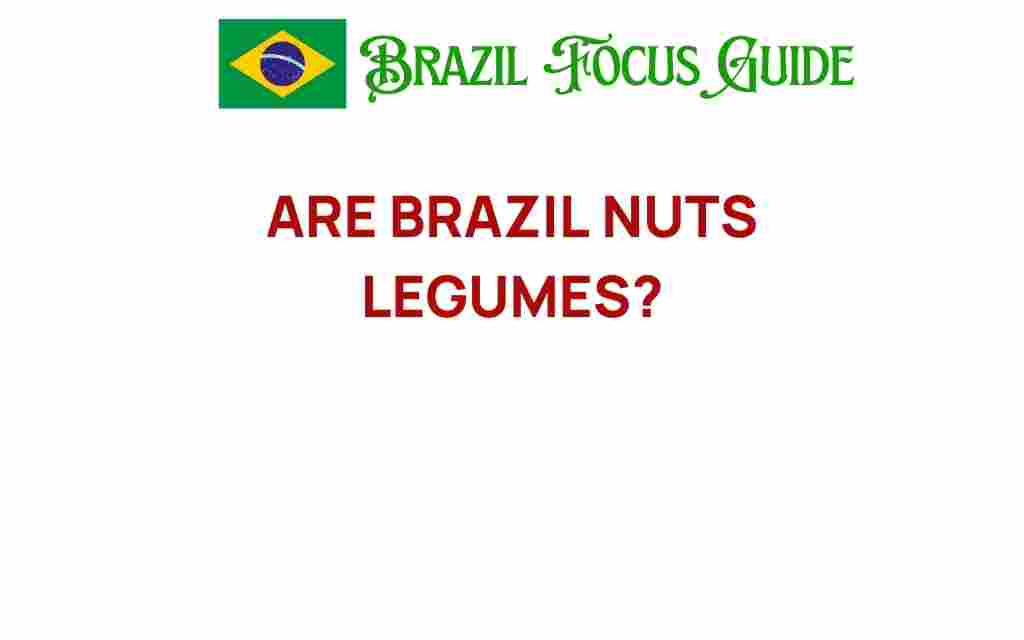are-brazil-nuts-legumes