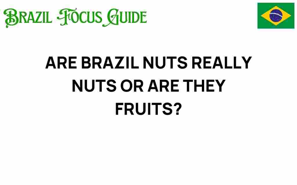 are-brazil-nuts-really-nuts