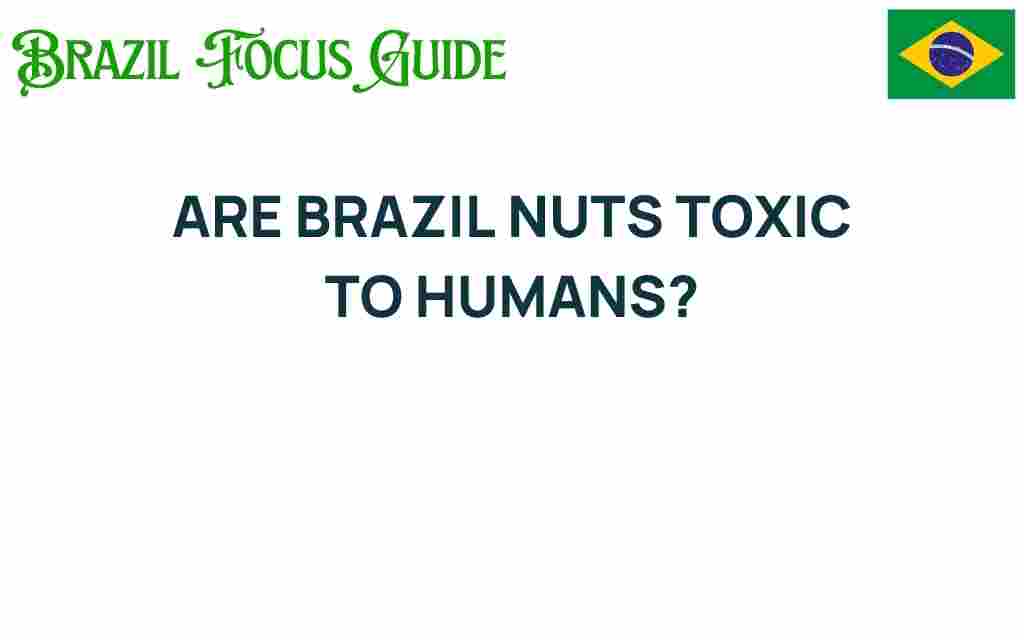 are-brazil-nuts-toxic-to-humans