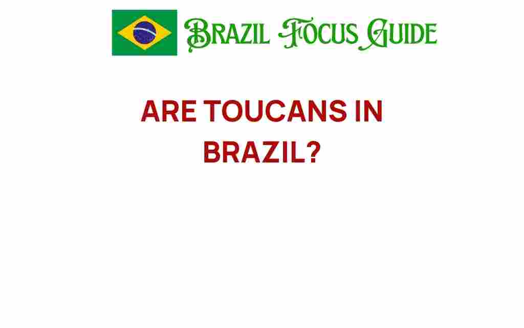 are-toucans-in-brazil