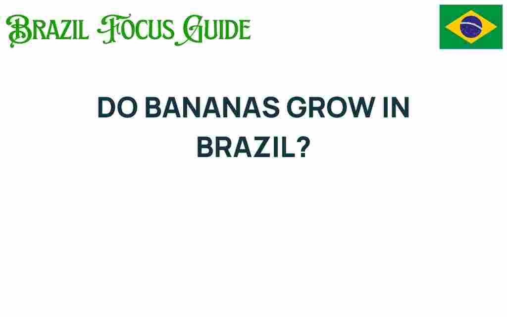 do-bananas-grow-in-brazil