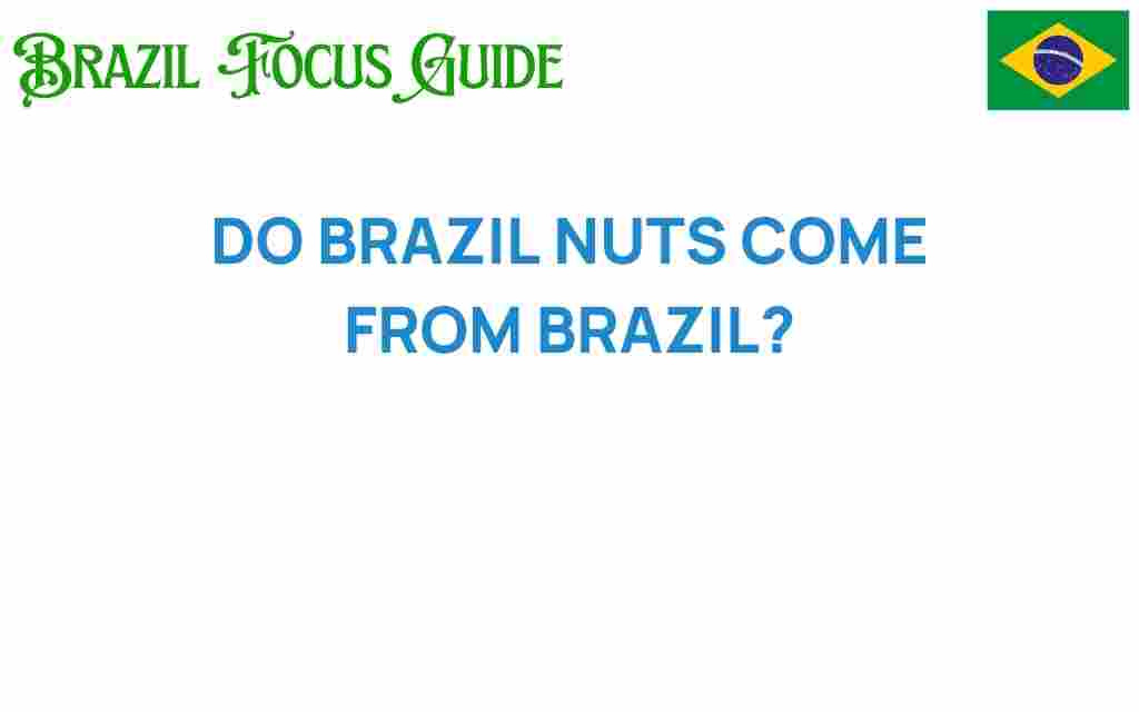 do-brazil-nuts-actually-originate-from-brazil
