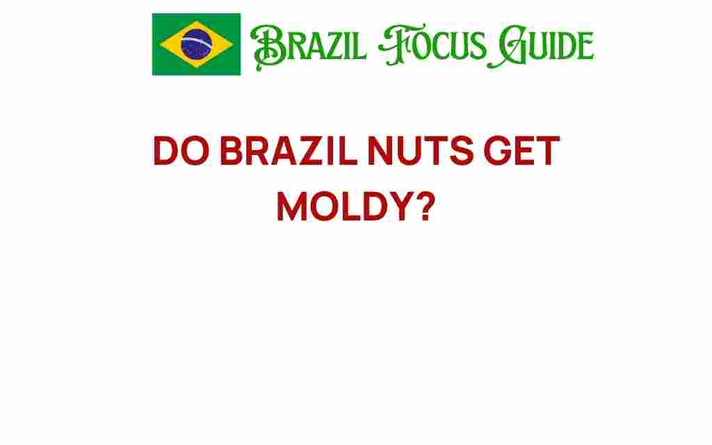 do-brazil-nuts-get-moldy