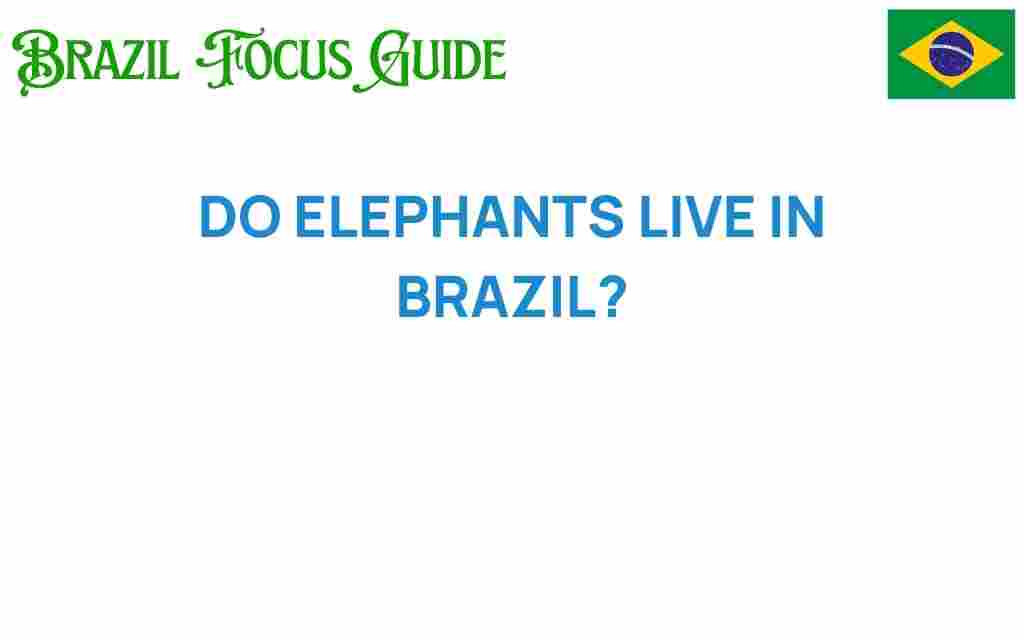 do-elephants-live-in-brazil