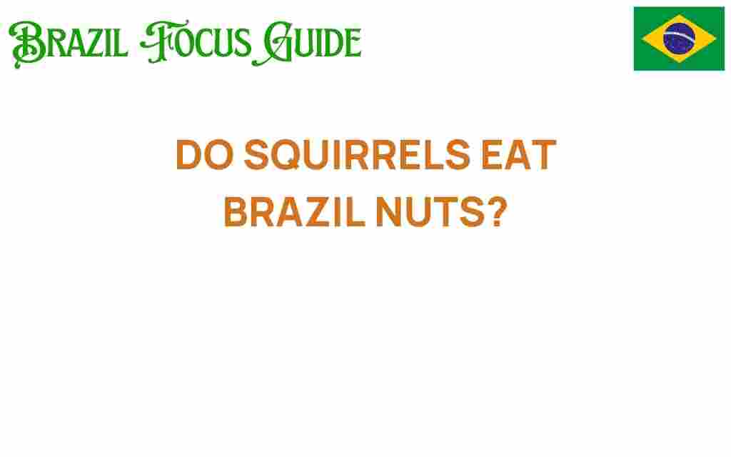 do-squirrels-eat-brazil-nuts