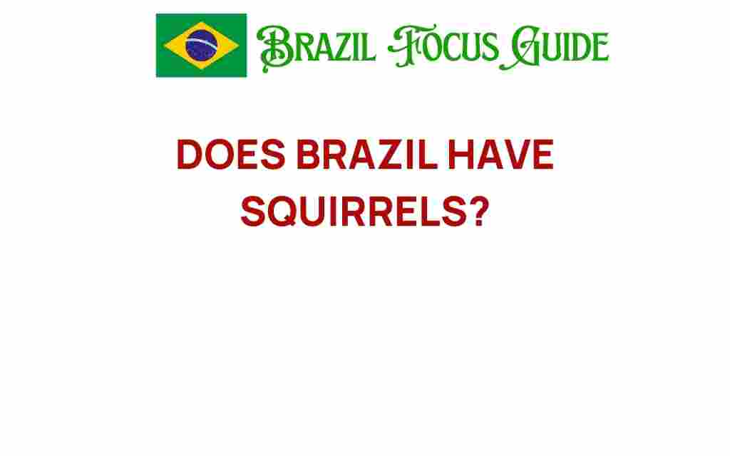 do-squirrels-call-brazil-home