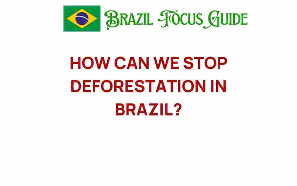 how-can-we-stop-deforestation-brazil