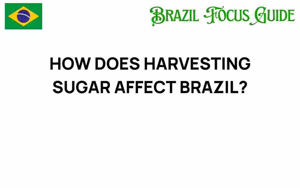 harvesting-sugar-brazil-impact