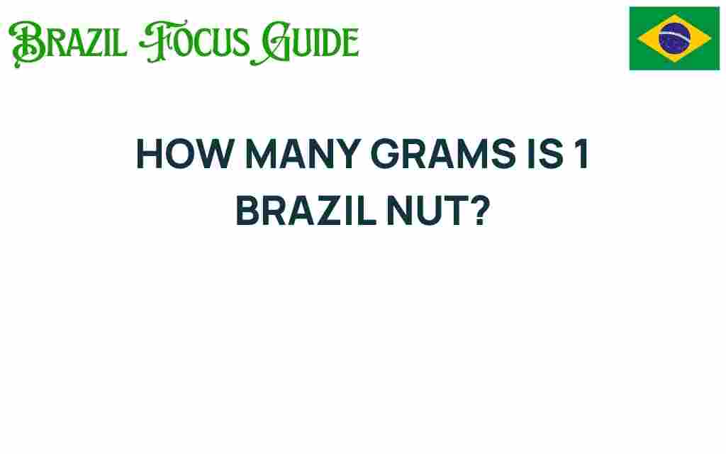 how-many-grams-is-1-brazil-nut