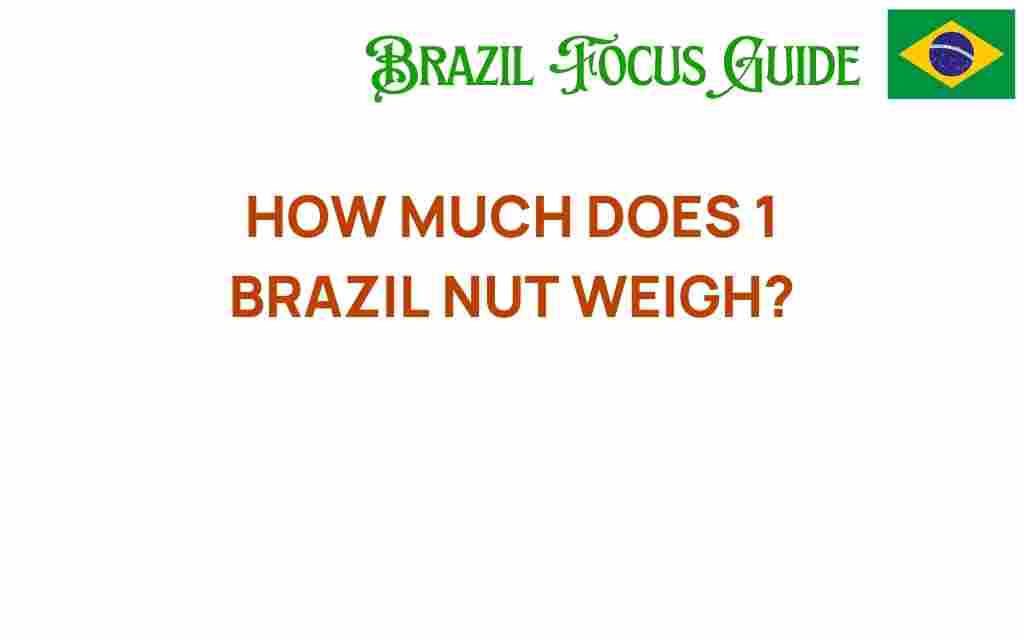 brazil-nut-weight
