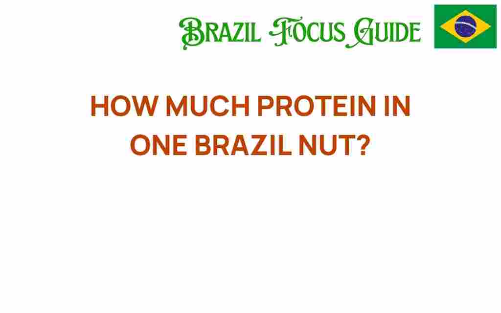 uncover-brazil-nut-protein-content