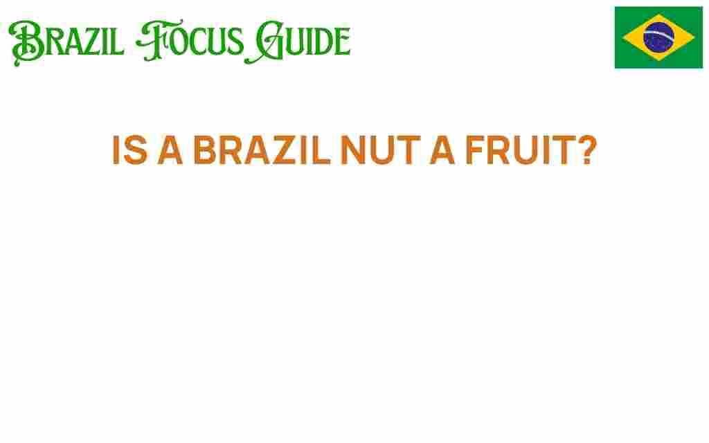 is-a-brazil-nut-a-fruit