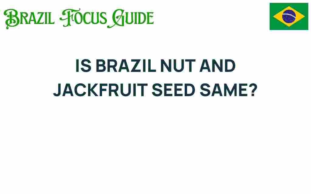brazil-nuts-jackfruit-seeds-comparison