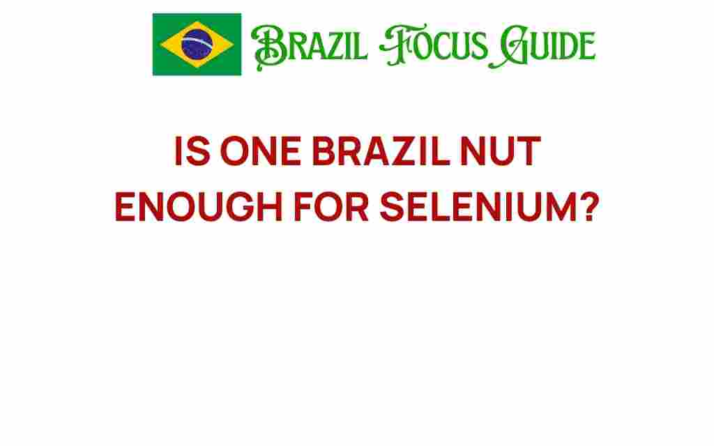 is-one-brazil-nut-enough-for-selenium