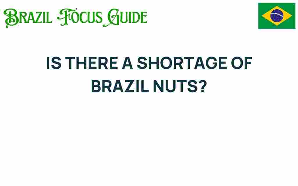is-there-a-shortage-of-brazil-nuts