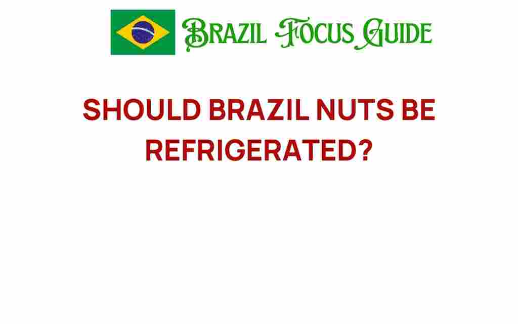should-brazil-nuts-be-refrigerated