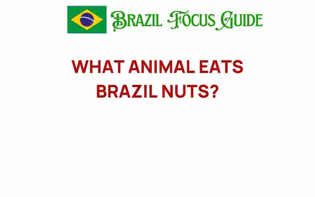 brazil-nuts-eaters