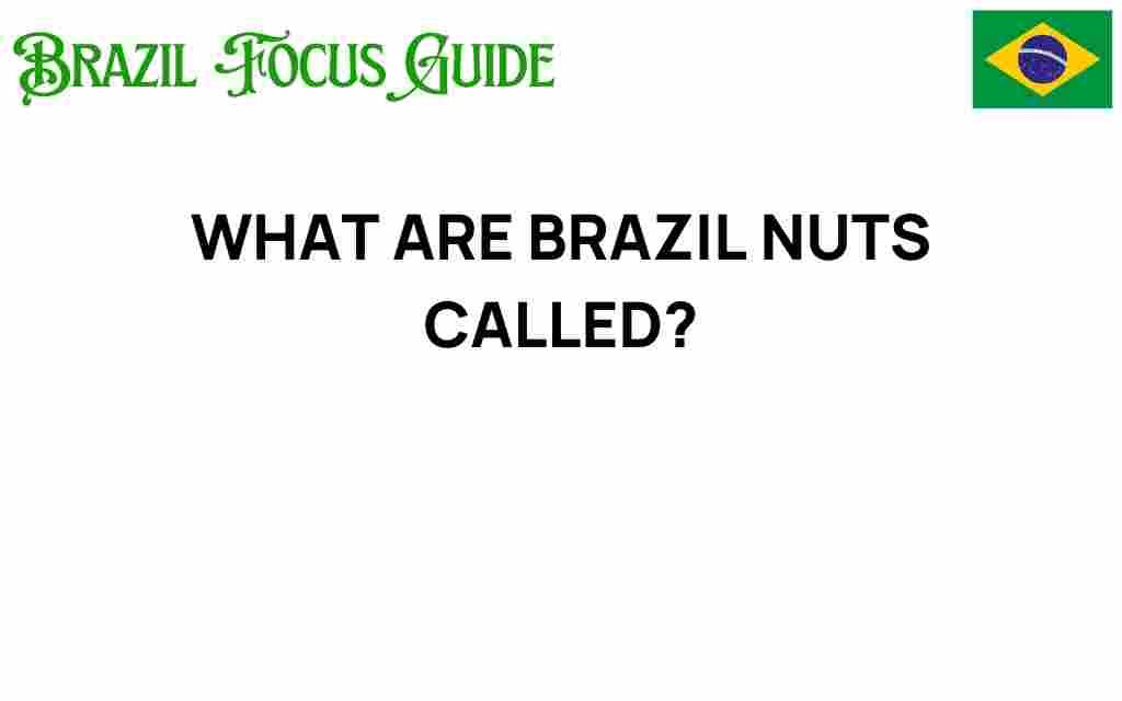 what-are-brazil-nuts-really-called