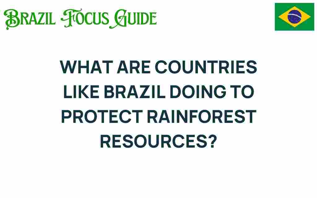 brazils-bold-steps-rainforest-protection