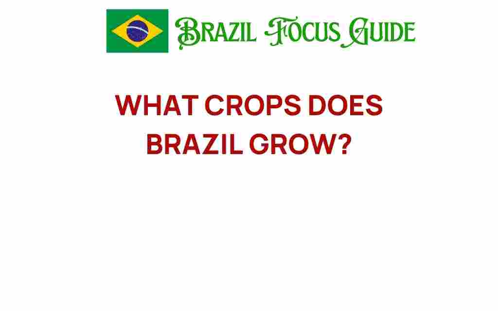 what-crops-does-brazil-grow