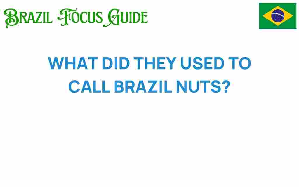 what-did-they-used-to-call-brazil-nuts