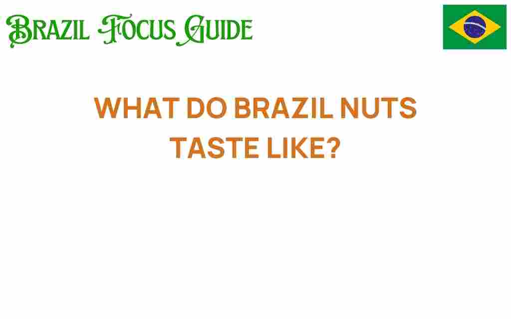 what-do-brazil-nuts-taste-like