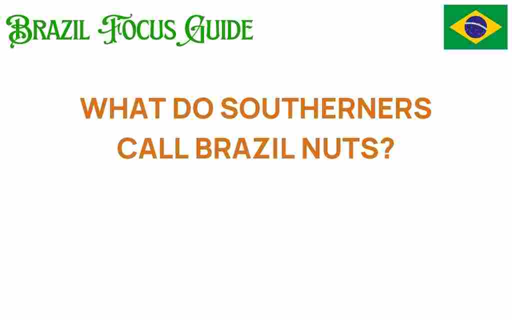 what-do-southerners-call-brazil-nuts