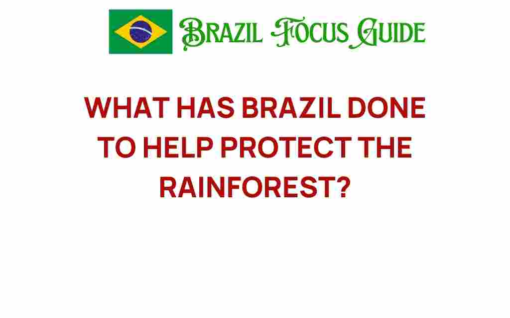 brazil-rainforest-protection-efforts