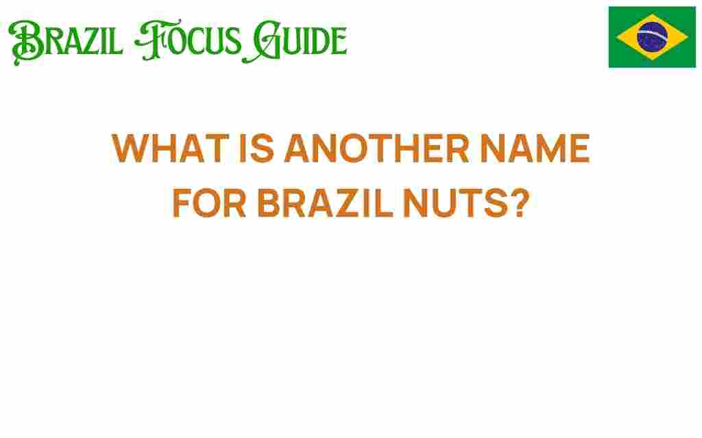 brazil-nuts-alternative-name