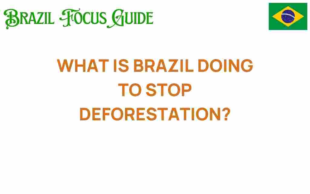 brazil-deforestation-solutions