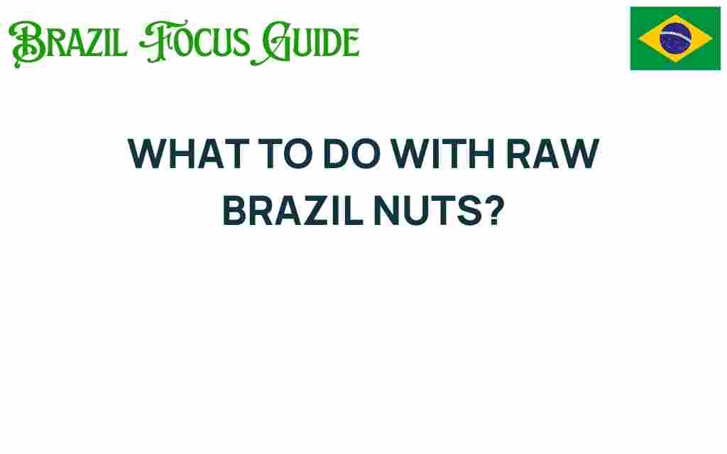 discover-raw-brazil-nuts-potential