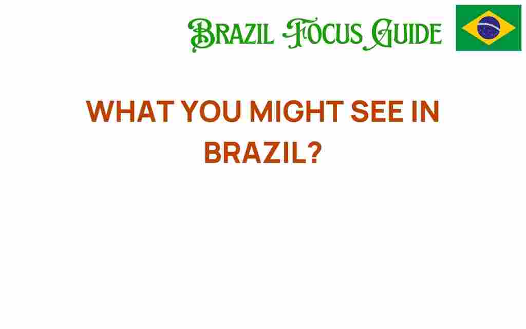 discover-wonders-what-you-might-see-in-brazil