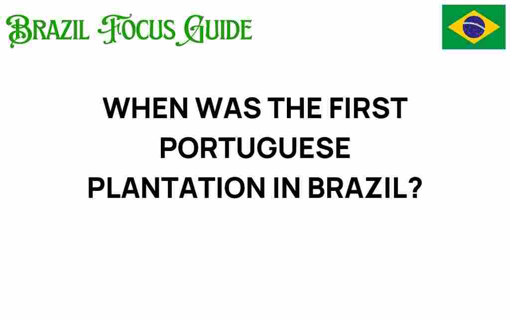 first-portuguese-plantation-brazil