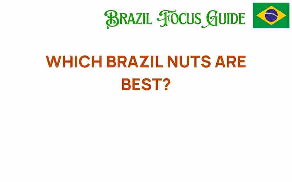 discover-which-brazil-nuts-are-best