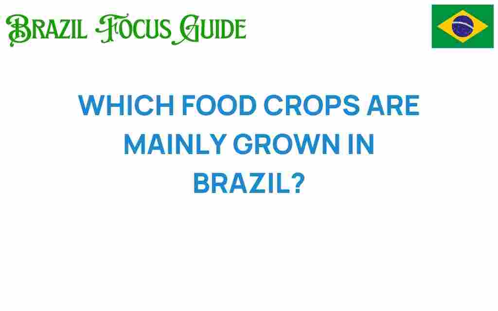 brazil-food-crops