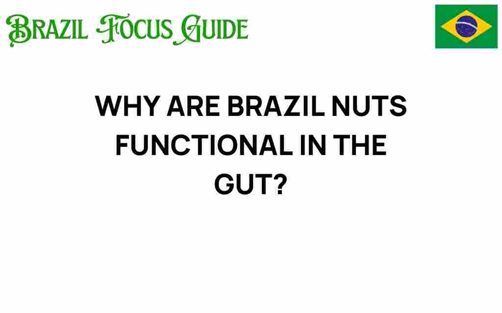 brazil-nuts-functional-gut