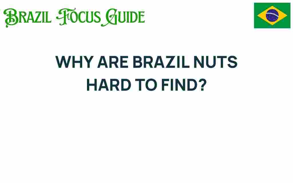 brazil-nuts-hard-to-find