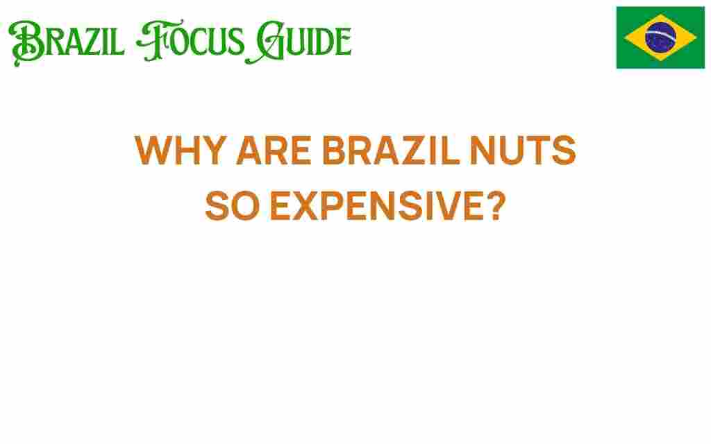 brazil-nuts-expensive-reasons