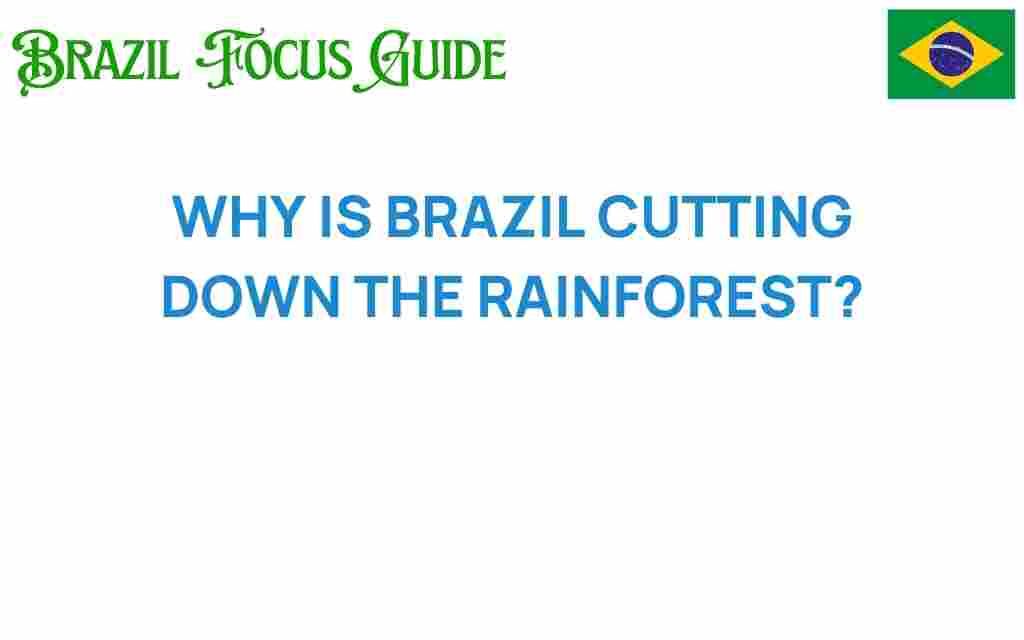 why-is-brazil-cutting-down-the-rainforest